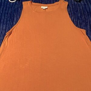 SALE 🍂 Large Charlotte tank dress